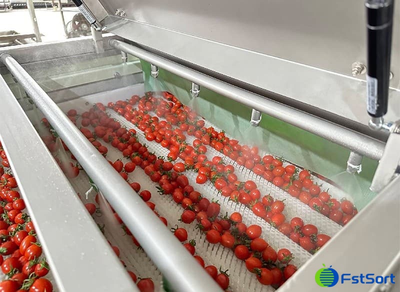 images/1703491735147cherry tomato grading machine.jpg